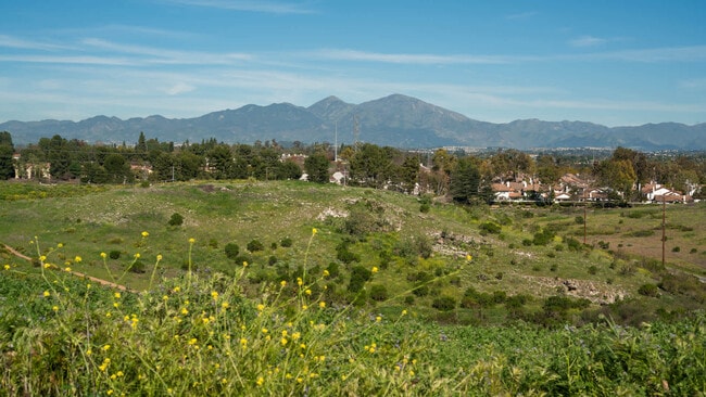 Creekside park - Villa Solana