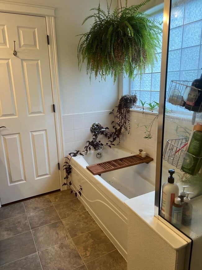 Building Photo - Beautiful 5 Bed 3 Bath in NE Fort Collins!