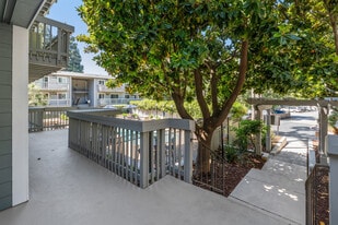 Building Photo - Regency Plaza Apartments