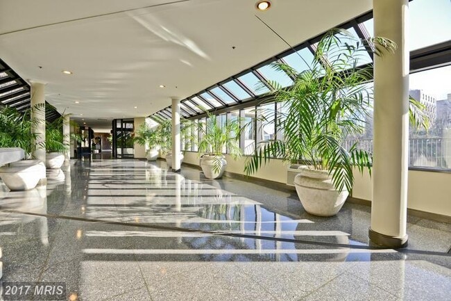 Building Photo - PENTHOUSE CONDO! ROSSLYN!
