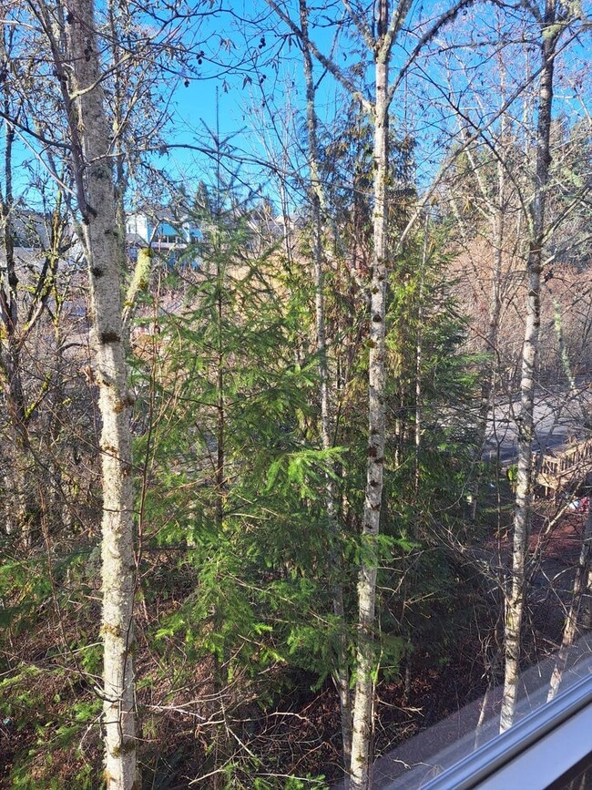 Building Photo - Secluded 5 bedroom Amazing Views Green Space