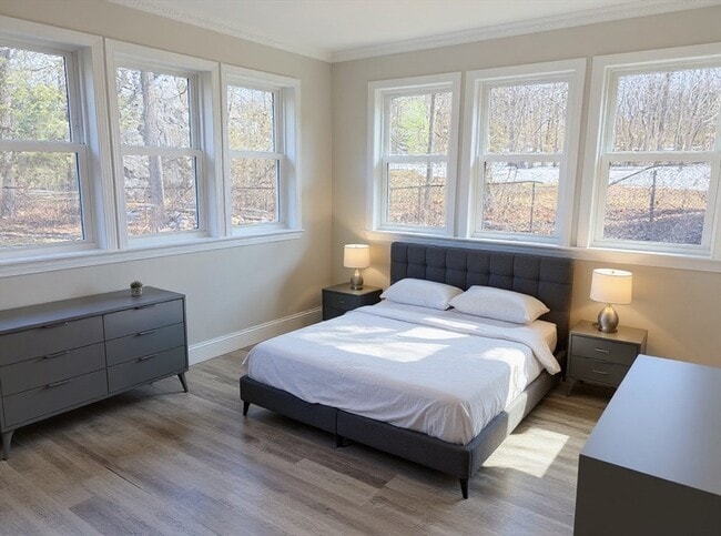 Building Photo - 53 Gale Rd