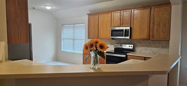 Building Photo - 20510 Spring Bluff Ln