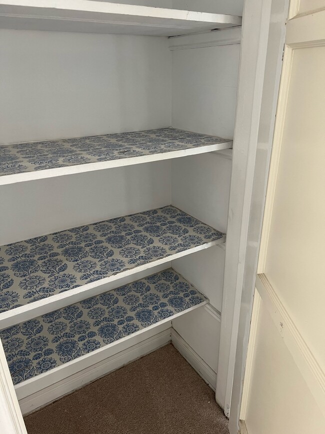 Linen closet in hallway - 1242 Devon Ave