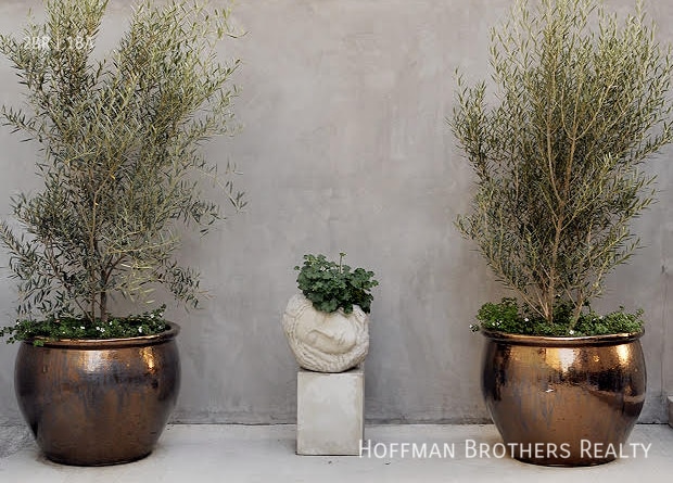 Building Photo - 1117 Cochran Ave