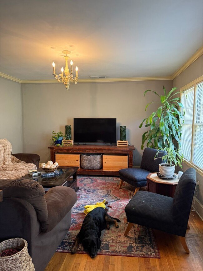 Building Photo - 207 Gran Ellen