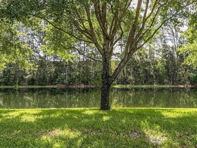 Building Photo - 556 Woodgate Cir