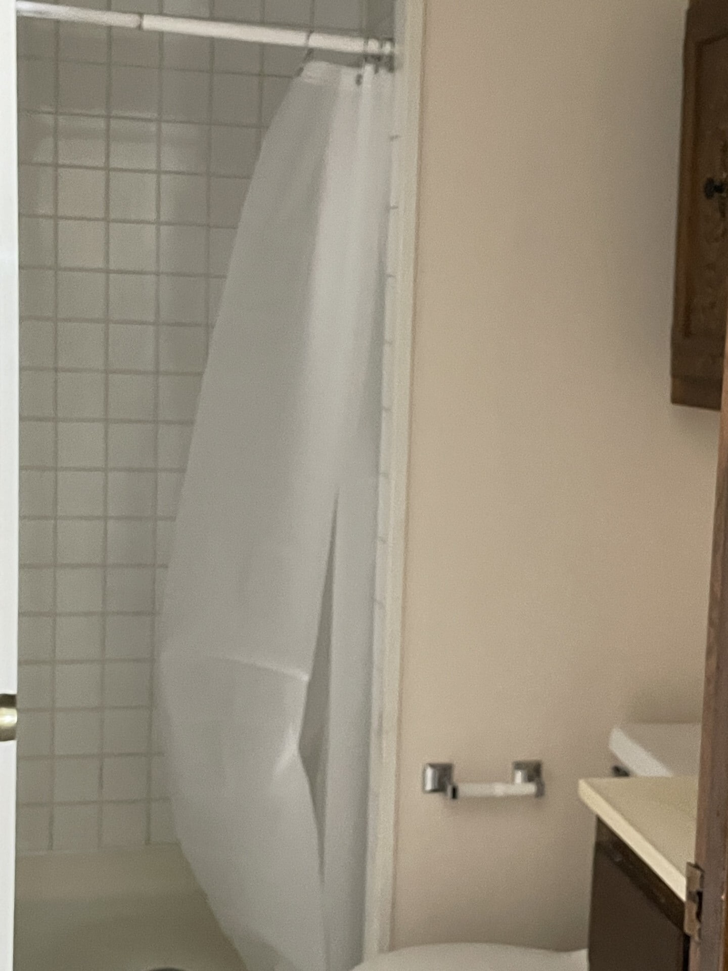 Master Half Bath - 302 Galvin Rd N