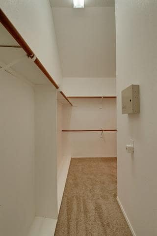 Building Photo - 2320 Suntree Ln