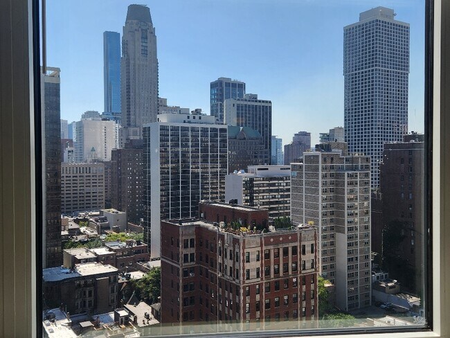 Building Photo - 1150 N Lake Shore Dr