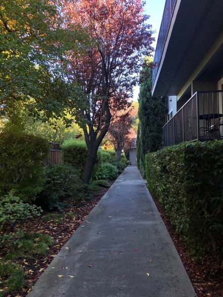 443 Ventura Avenue walkway - Merrilee Terrace Apartments