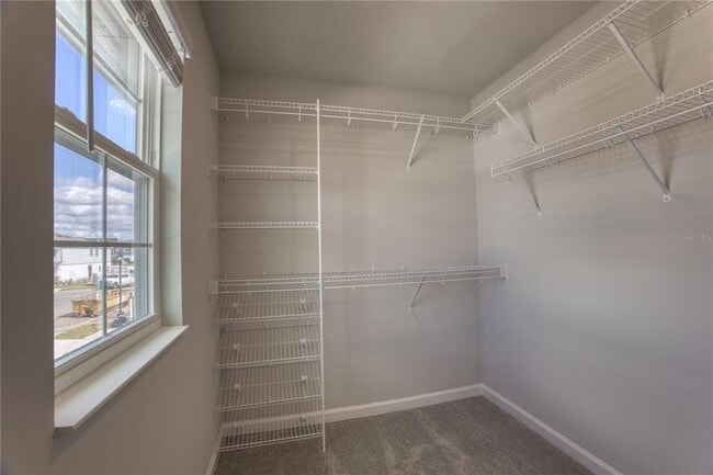 Building Photo - 4184 Campsite Lp