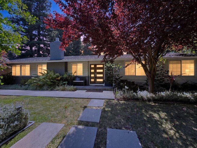 Building Photo - Gorgeous 4 Bedroom PLUS Spacious Bonus Room with Pool in Desired Alamo Neighborhood Available Now!