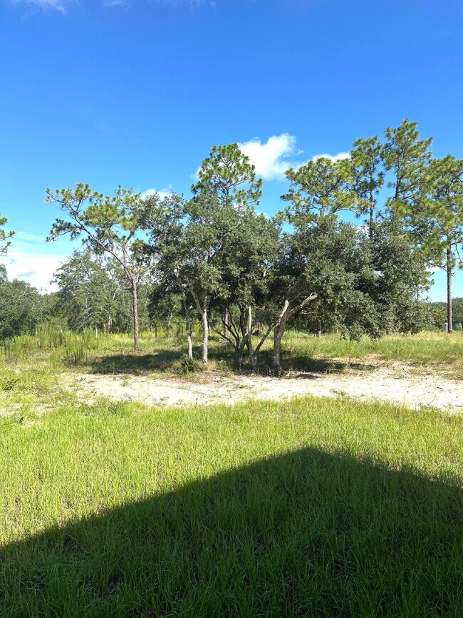 Building Photo - For Rent! Beautiful New Construction Home ...