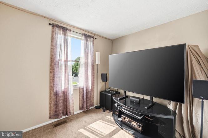 Third Bedroom - 7037 Hames Ct
