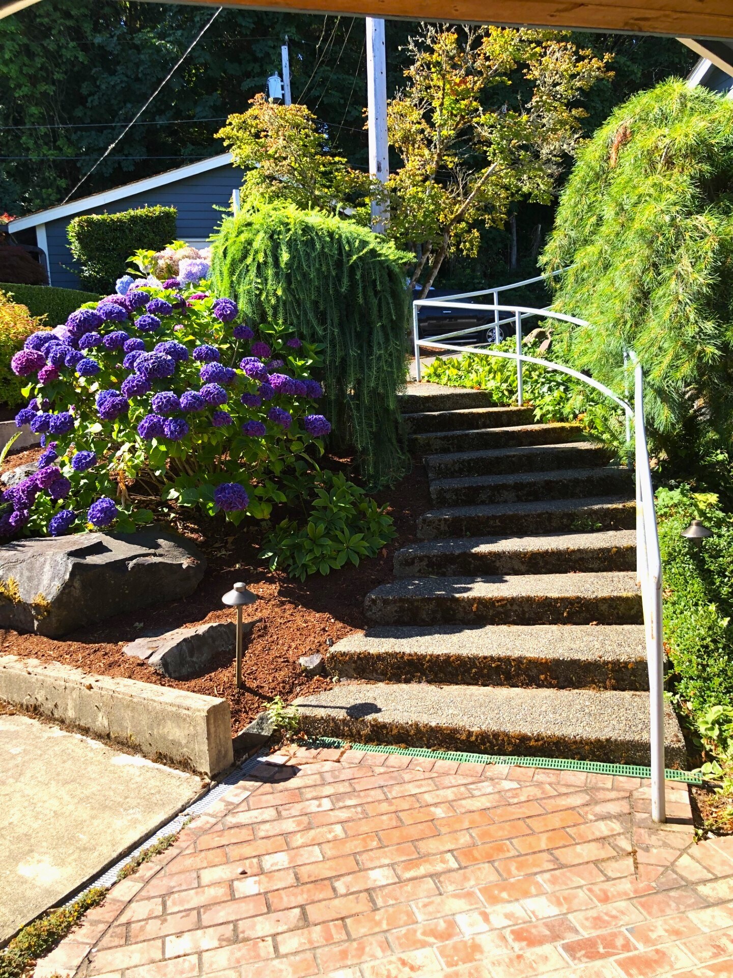 steps 7 ramp both converge on front door - 7107 120th St NW