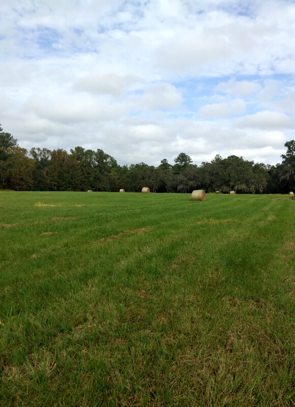 Building Photo - 8035 NW 120th St