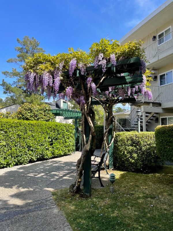 Building Photo - 3224 Palos Verdes Ct