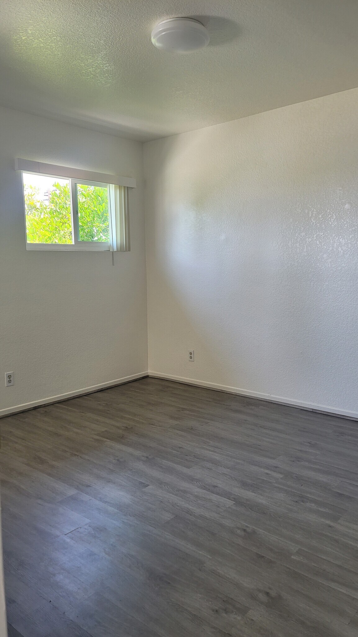 Building Photo - 14324 Lemoli Ave