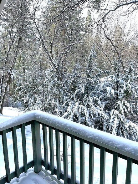 Building Photo - 2418 Fir Dr