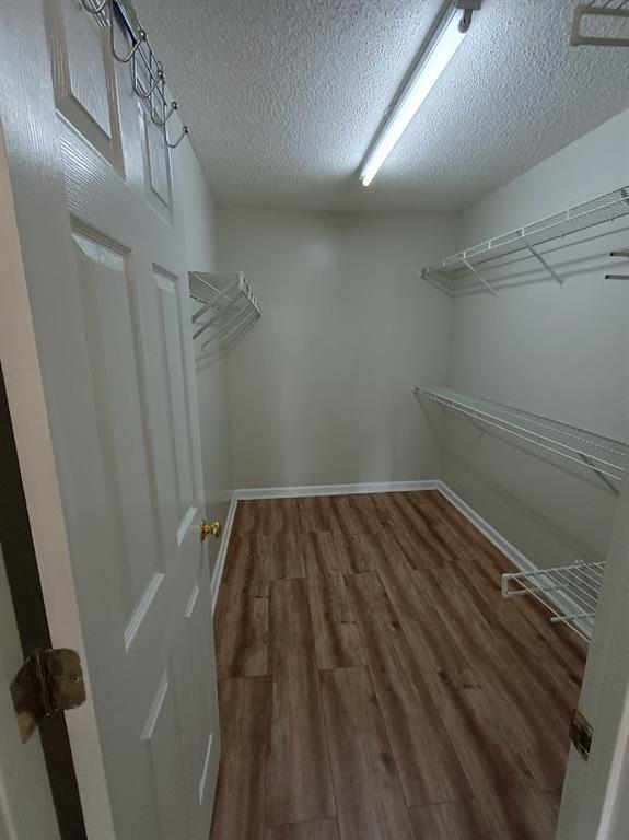 Building Photo - 3210 Binghampton Ln