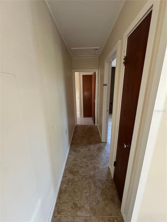 Building Photo - 242 Cedar St