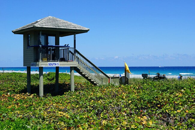 Building Photo - 1745 Palm Cove Blvd