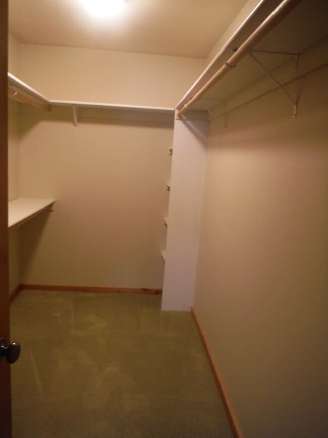 Building Photo - Gorgeous 3 Bedroom Home in Elk Grove Commu...