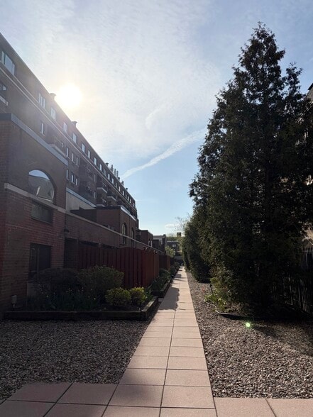 Pretty garden - 530 S 2nd St