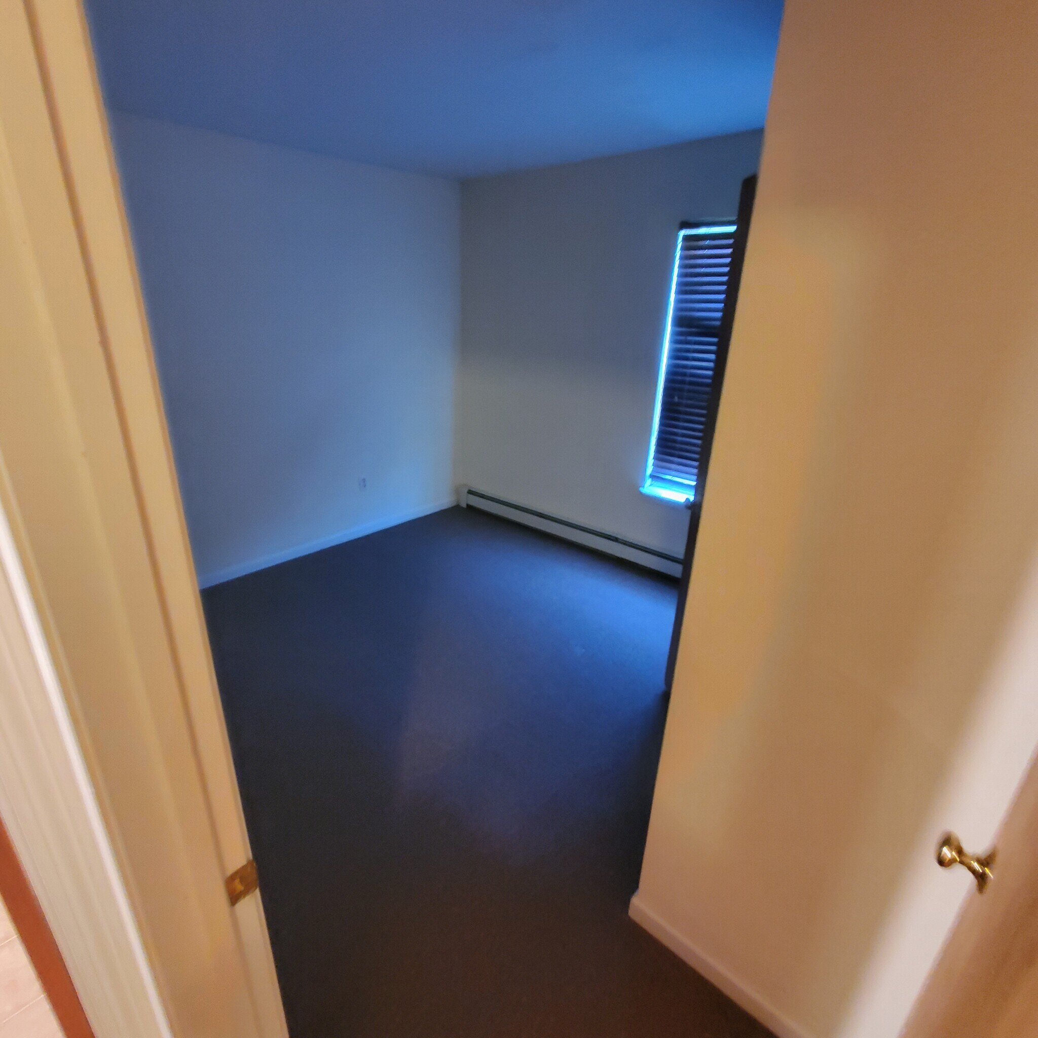 Bedroom 2 of 3 - 16 Morris St