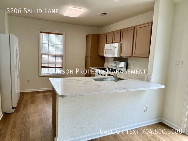 Building Photo - 3206 Salud Ln