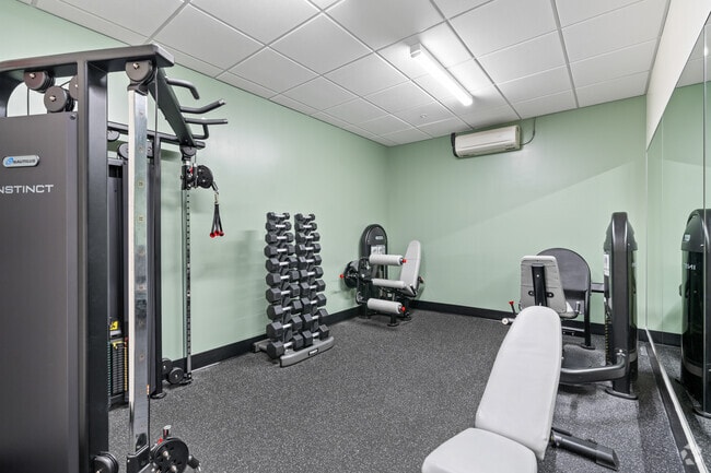 Interior Photo - Mily on Green