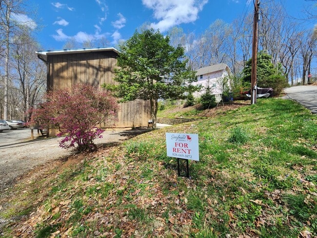 Building Photo - West Asheville Apartment!