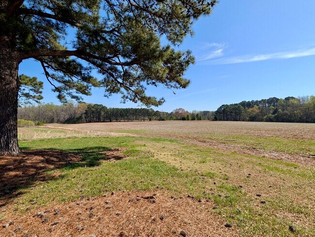 Building Photo - For Rent: Charming Country Home in Middlesex – $1,550/month