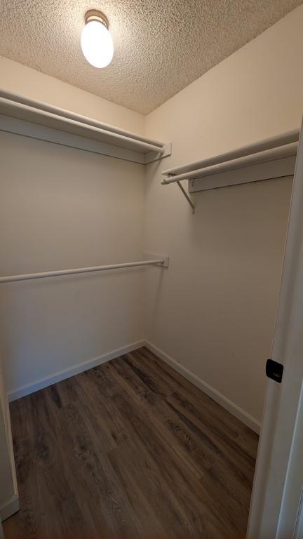 Building Photo - 12935 SW Conestoga Dr