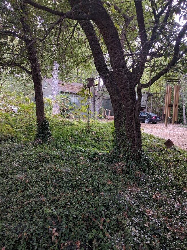 8118 Garland Rd 8118 Garland Rd Dallas TX 75218 Apartment Finder