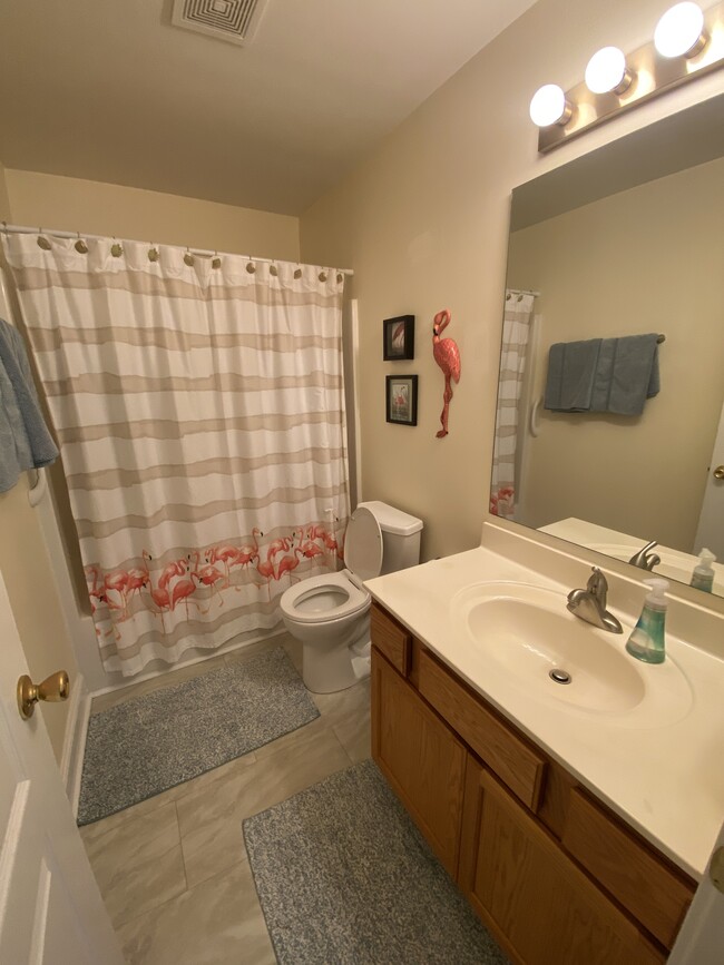 Master bathroom. - 600 Mitchell Bridge Rd