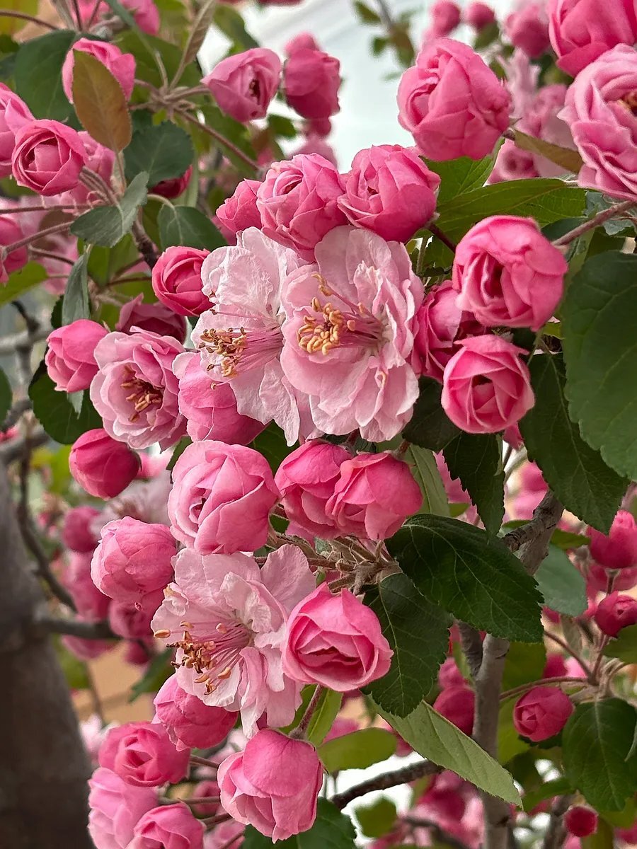 Building Photo - 2803 Kansas Dr