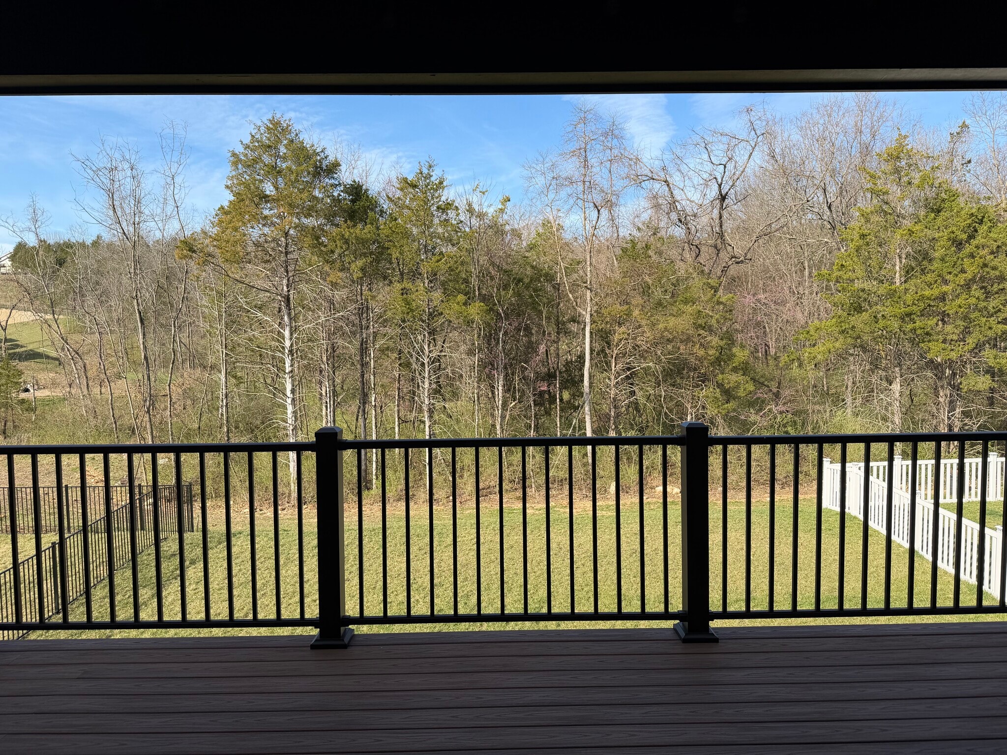 Wooded area behind the home - 4977 Knotty Alder Dr