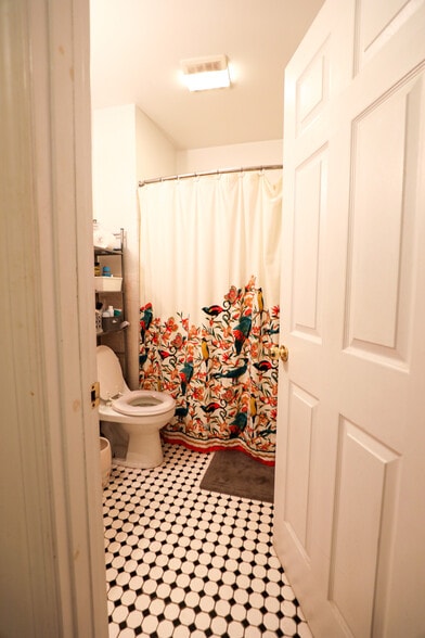 Building Photo - 62 Egmont St