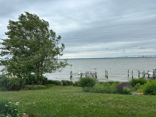 Building Photo - Eastern Shore Waterfront COMING SOON