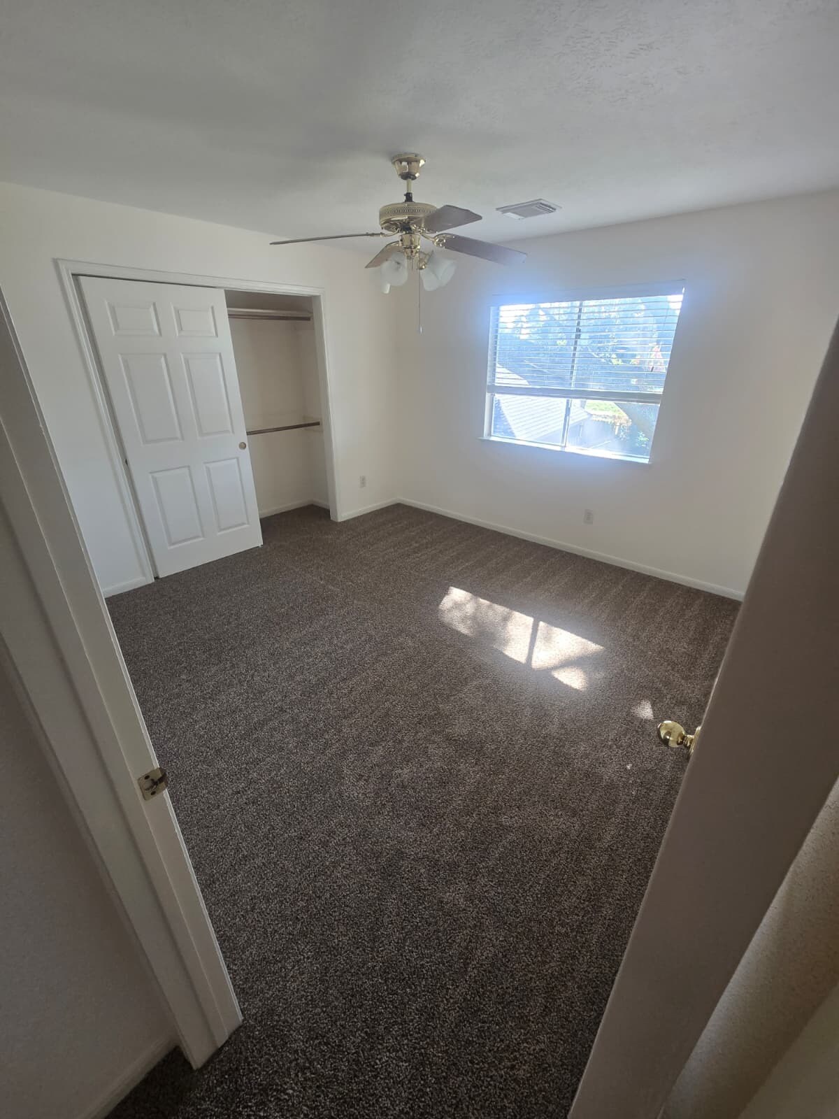 Building Photo - 12851 Apple Forest Trl