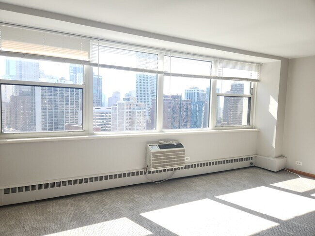 Building Photo - 1150 N Lake Shore Dr