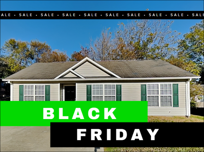 Primary Photo - Special BLACK FRIDAY Offer