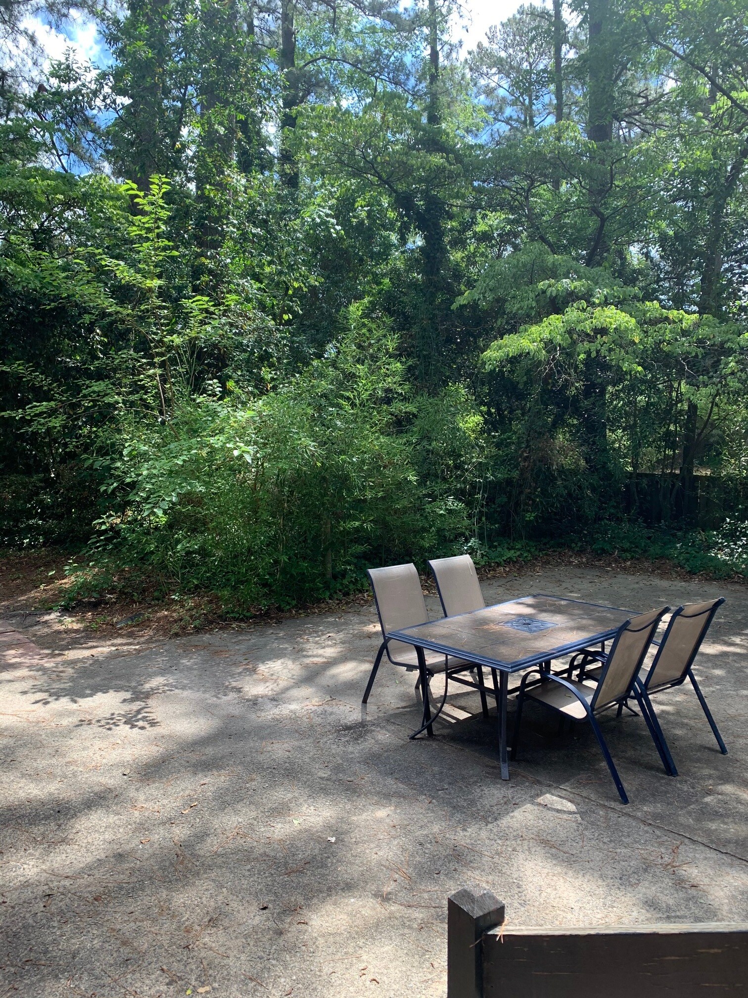 Patio - 1206 Lafayette Ave