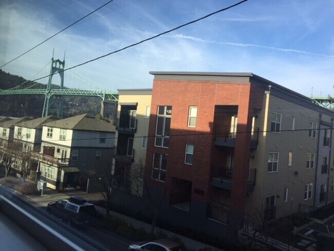 Interior Photo - Cathedral Park