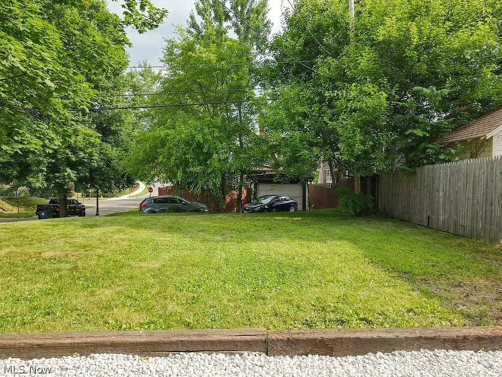 Plenty of yard space for pets - 411 Lindenwood Ave