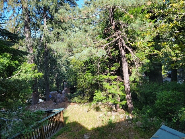 Building Photo - House in the Trees!