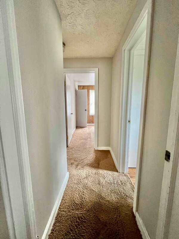 Building Photo - 143 Shenandoah Dr