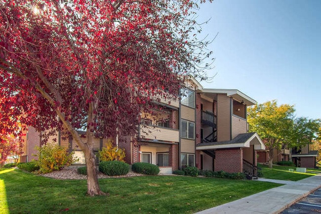 Building Photo - Pinecone Apartments